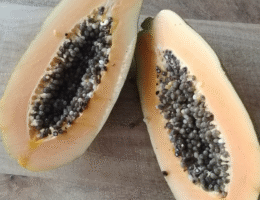 Papaya