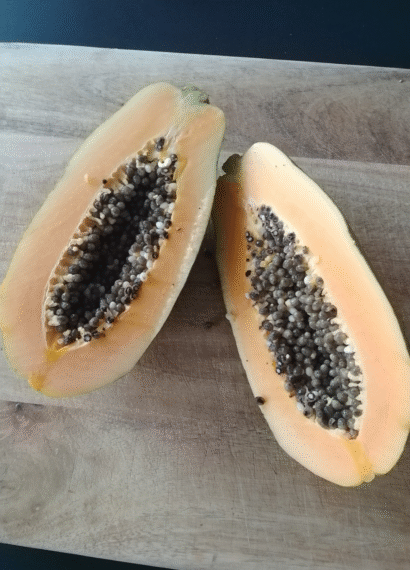 Papaya