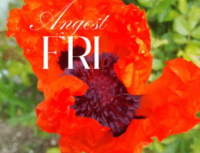 Ångest Fri
