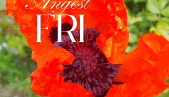 Ångest Fri