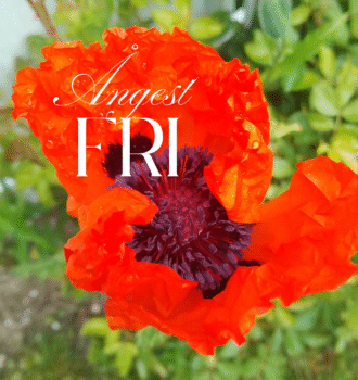 Ångest Fri