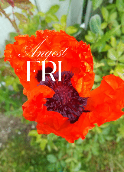 Ångest Fri