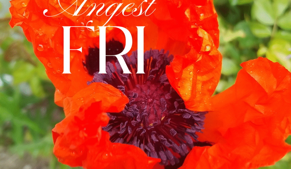 Ångest Fri