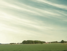 Landskap stor dimmig himmel. Ängfält.